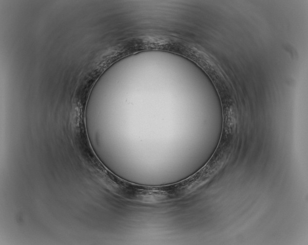 X0000115200463200911121846