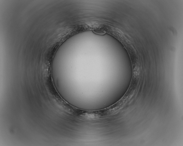 X0000115200464200911121846