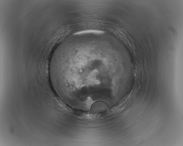 X0000115200466200911121846