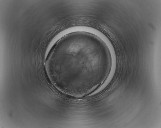 X0000115200467200911121846
