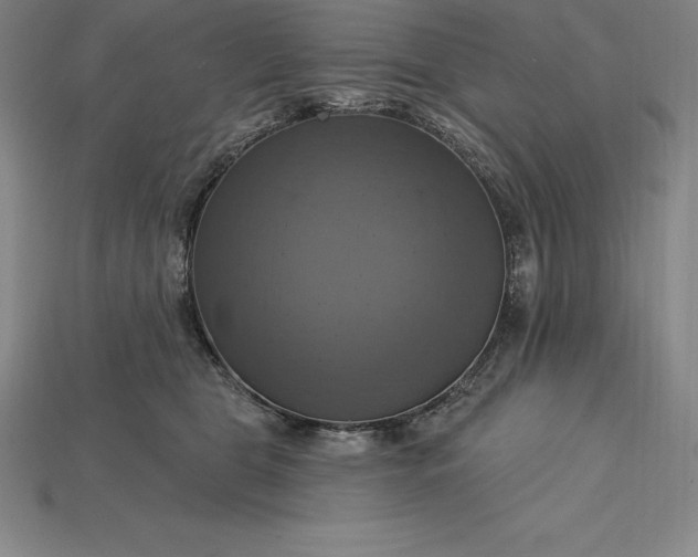 X0000115200469200911121846