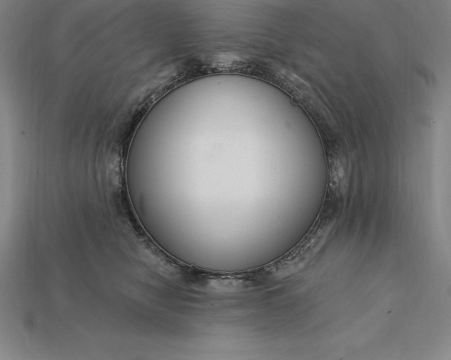 X0000115200470200911121846