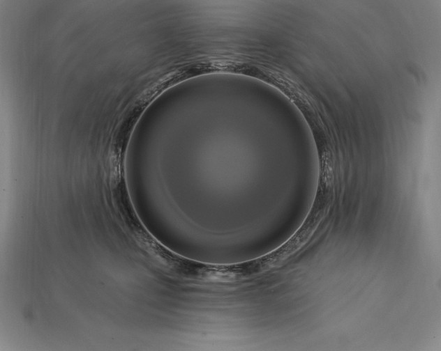 X0000115200471200911121846