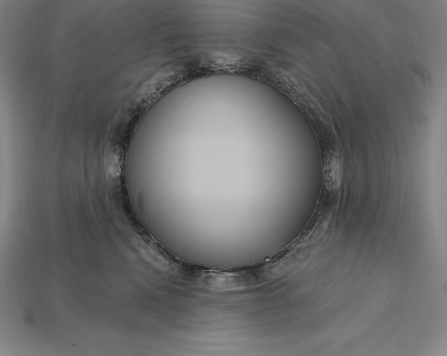 X0000115200472200911121846