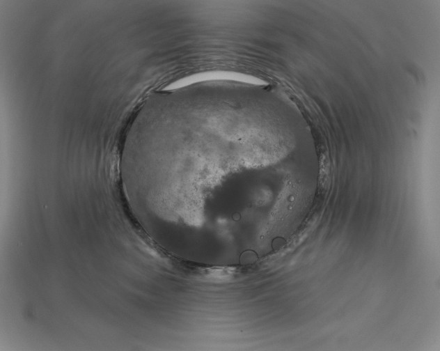 X0000115200474200911121846
