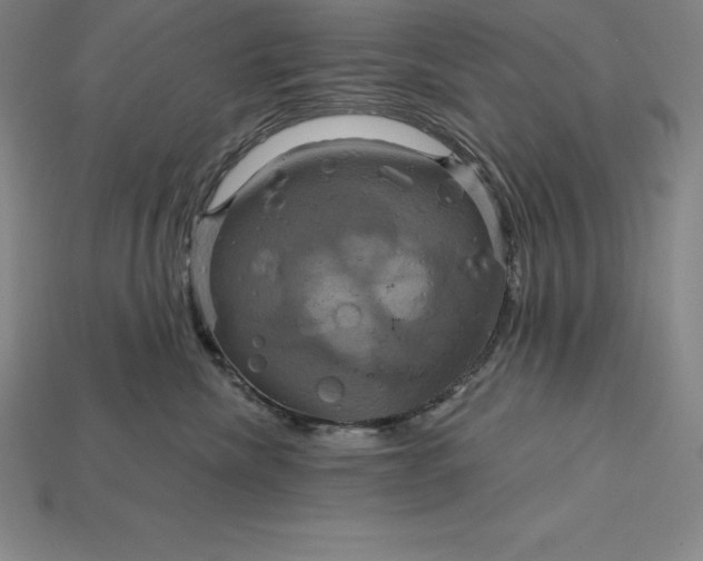 X0000115200476200911121846