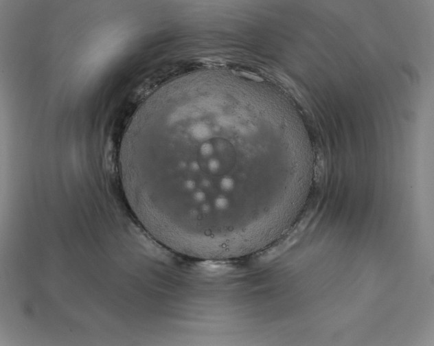 X0000115200477200911121846
