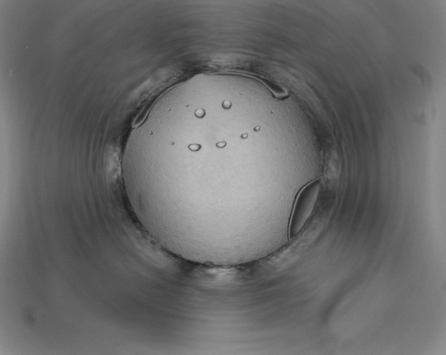 X0000115200478200911121846