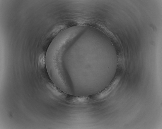 X0000115200479200911121846