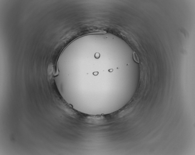 X0000115200480200911121846