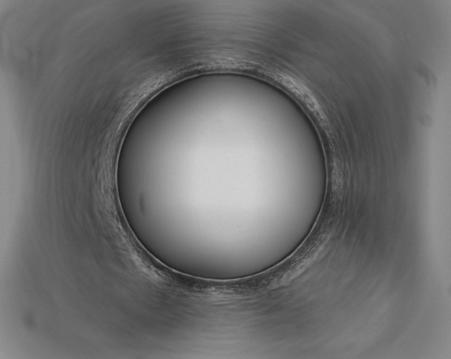 X0000115200481200911121845
