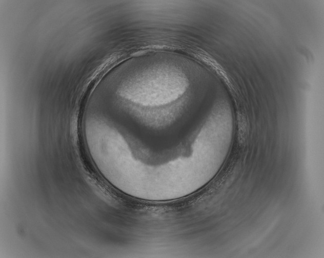 X0000115200482200911121845