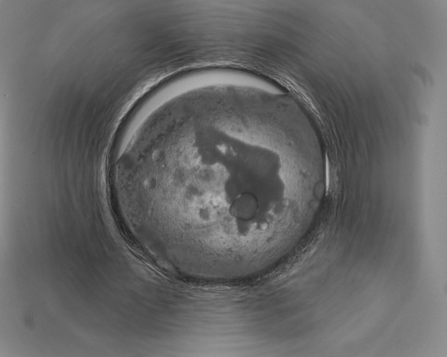 X0000115200483200911121845