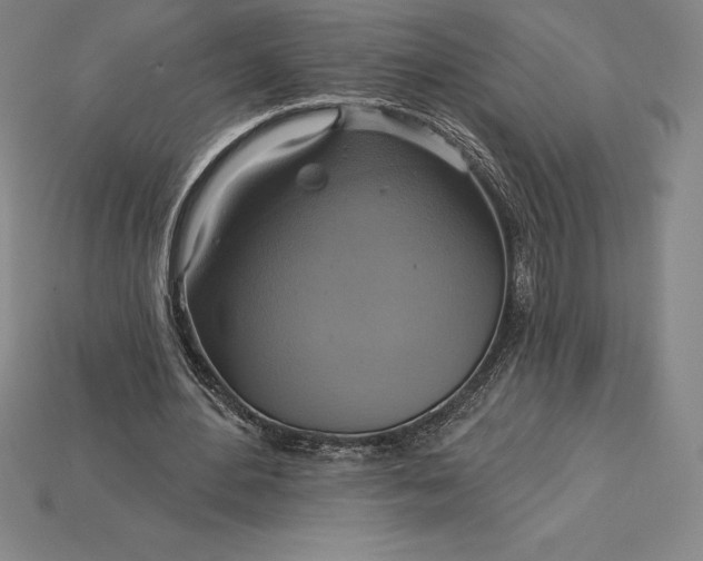 X0000115200484200911121845