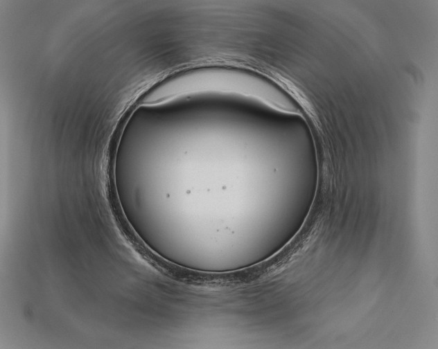 X0000115200485200911121845