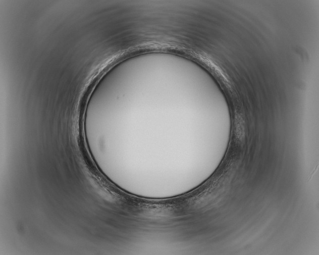 X0000115200486200911121845