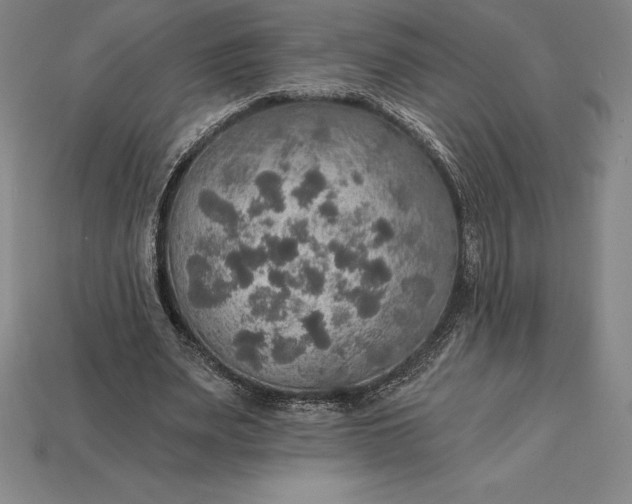 X0000115200487200911121845