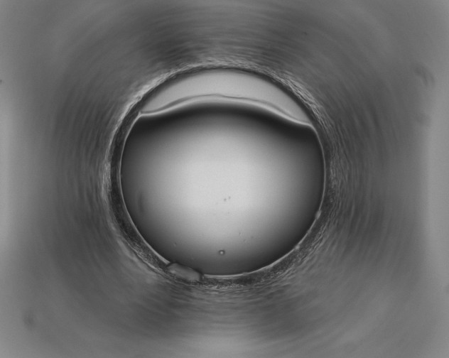 X0000115200488200911121845