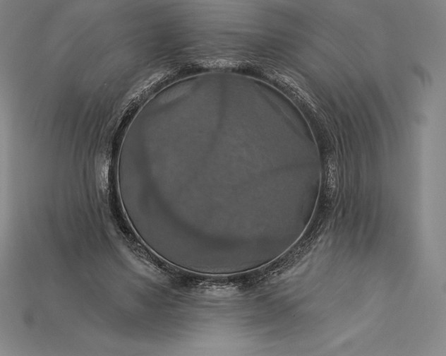 X0000115200491200911121845