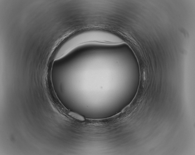 X0000115200492200911121845