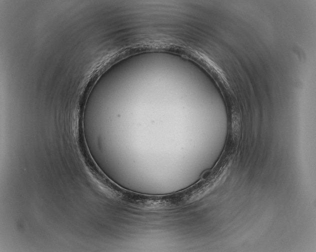 X0000115200493200911121845