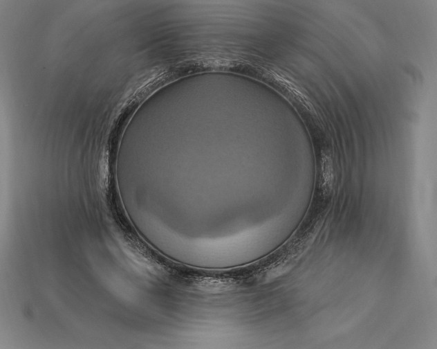 X0000115200494200911121845