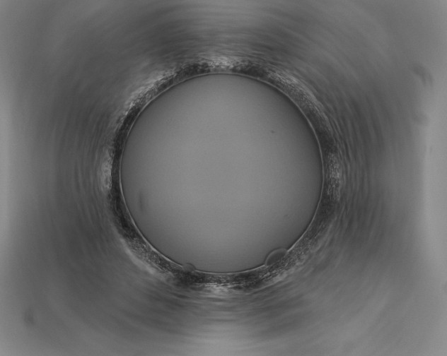 X0000115200496200911121845