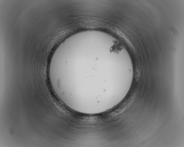 X0000115200497200911121845
