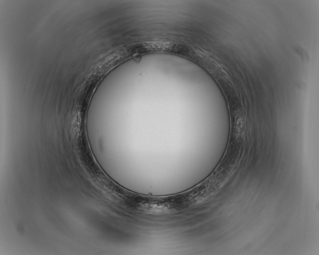 X0000115200498200911121845