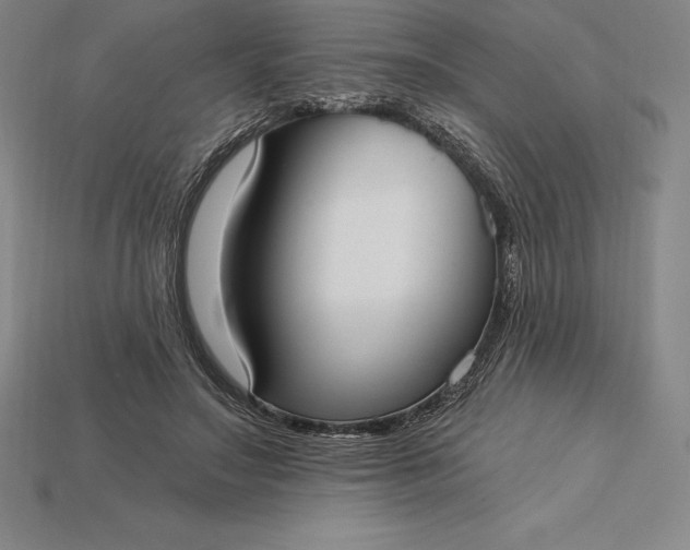 X0000115200499200911121845