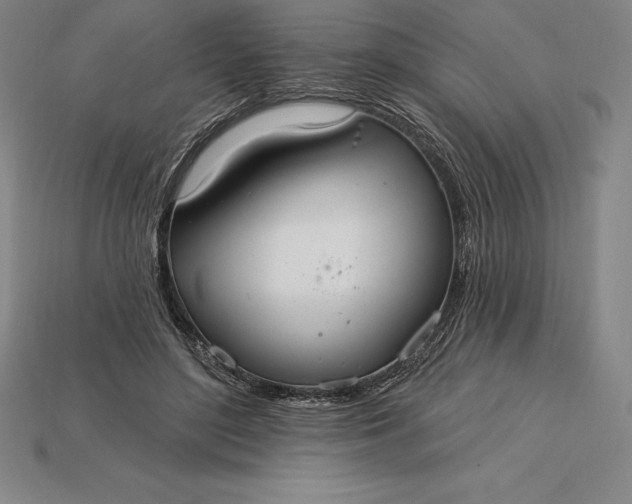 X0000115200500200911121845