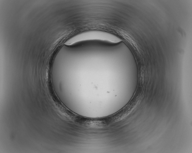 X0000115200501200911121845