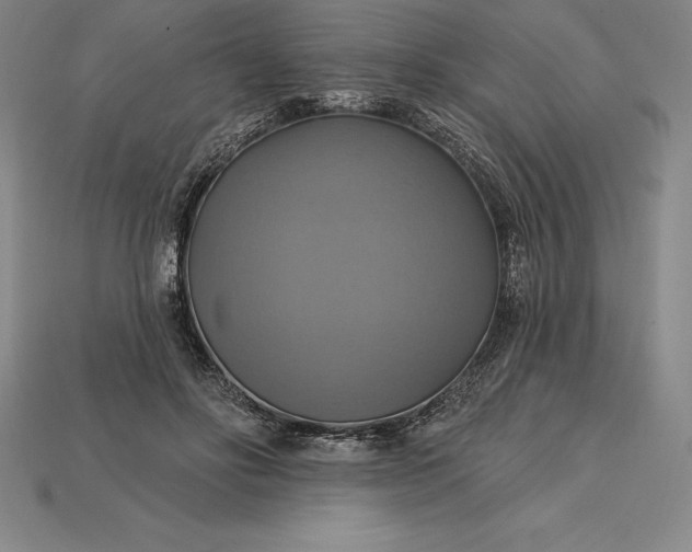 X0000115200502200911121845