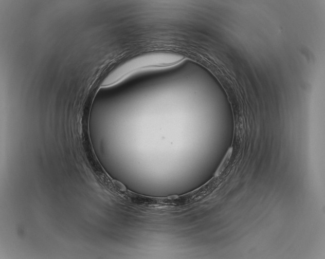X0000115200504200911121845