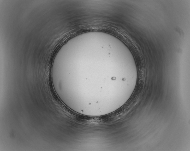 X0000115200505200911121845
