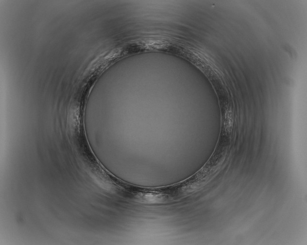 X0000115200506200911121845