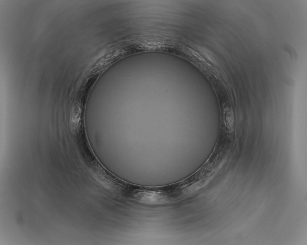 X0000115200507200911121845