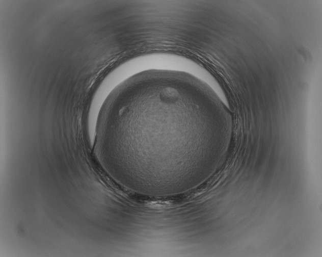 X0000115200508200911121845