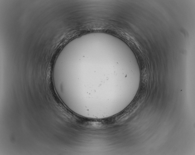 X0000115200509200911121845