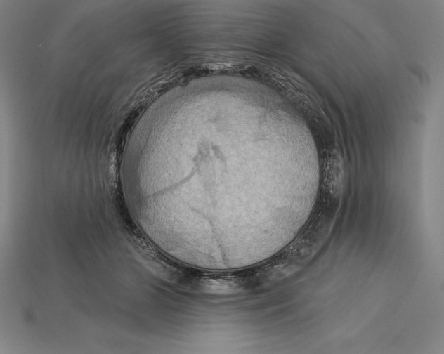 X0000115200510200911121845