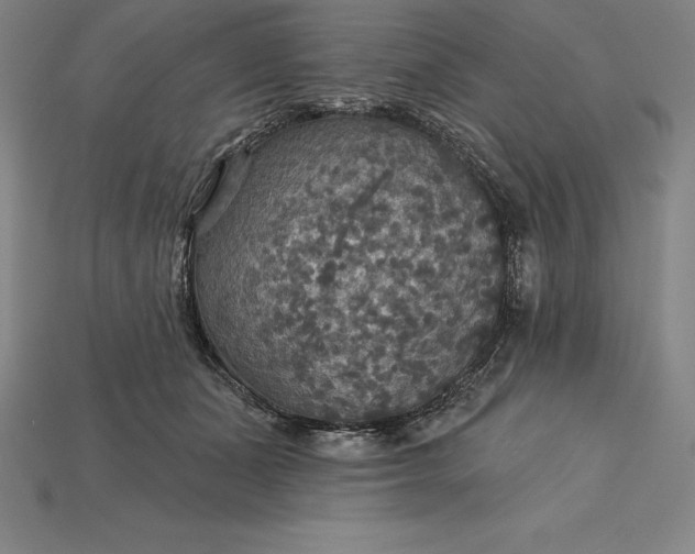 X0000115200511200911121845