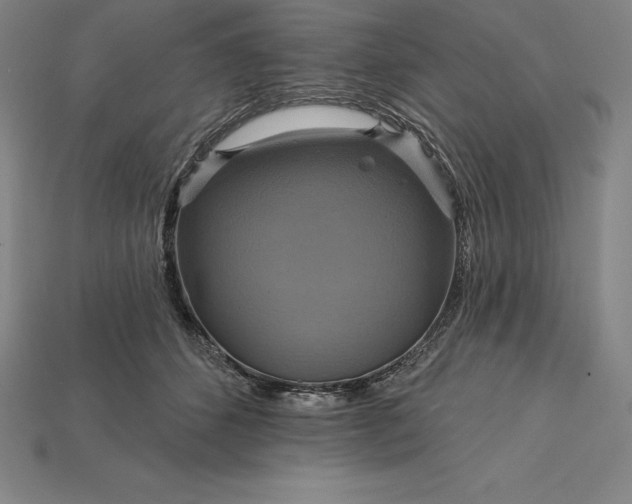 X0000115200512200911121845