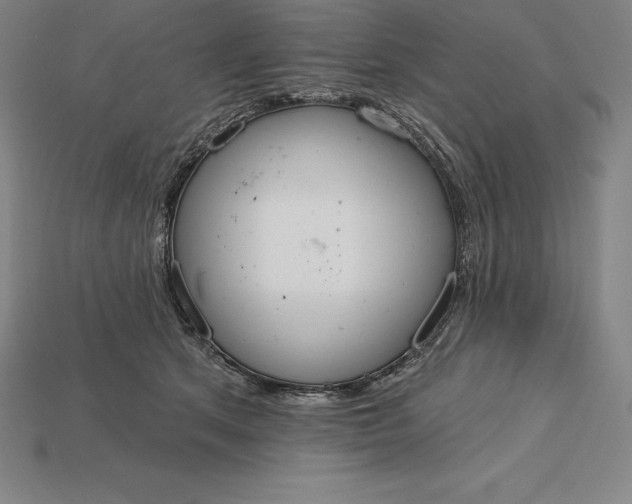 X0000115200513200911121845