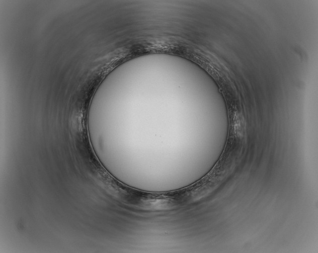 X0000115200514200911121845