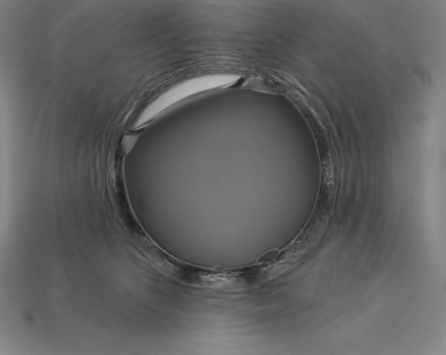 X0000115200516200911121845