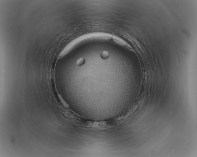 X0000115200517200911121845