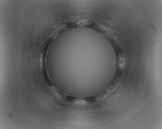 X0000115200519200911121845