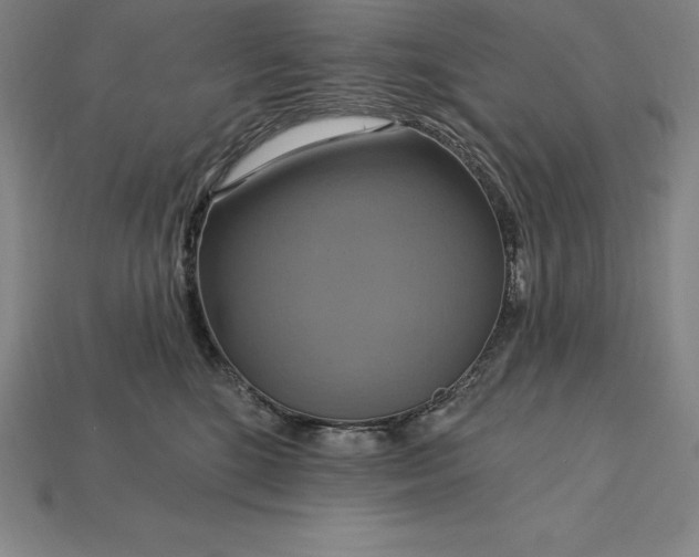 X0000115200520200911121845