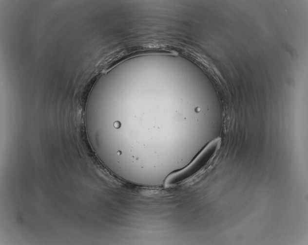 X0000115200521200911121845