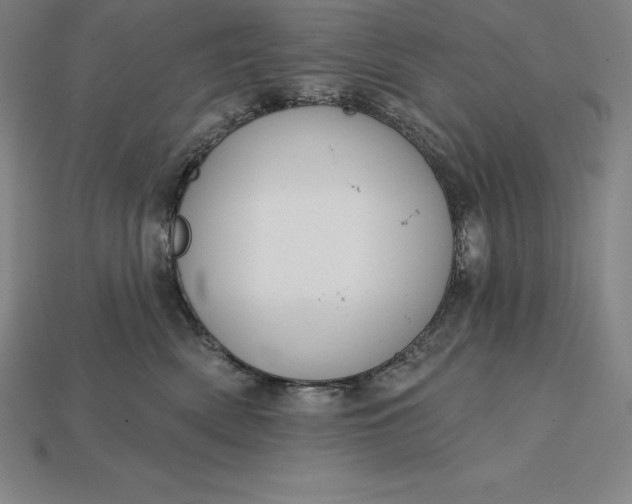 X0000115200522200911121845